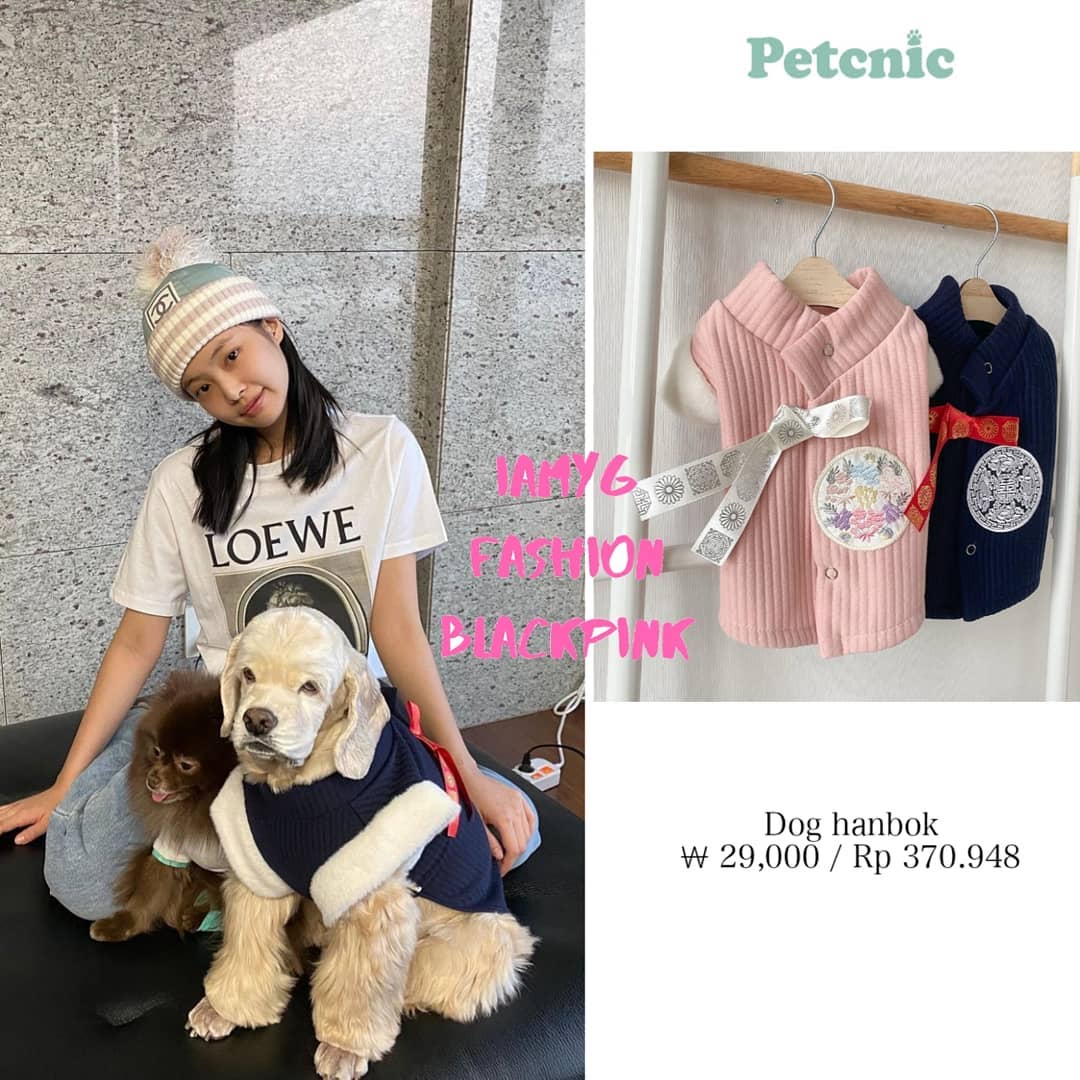 Lối sống quý tộc của thú cưng nhà BLACKPINK: Đi xe đẩy 20 triệu, nằm túi hiệu 76 triệu - Ảnh 7. Lối sống quý tộc của thú cưng nhà BLACKPINK: Đi xe đẩy 20 triệu, nằm túi hiệu 76 triệu - Ảnh 7.