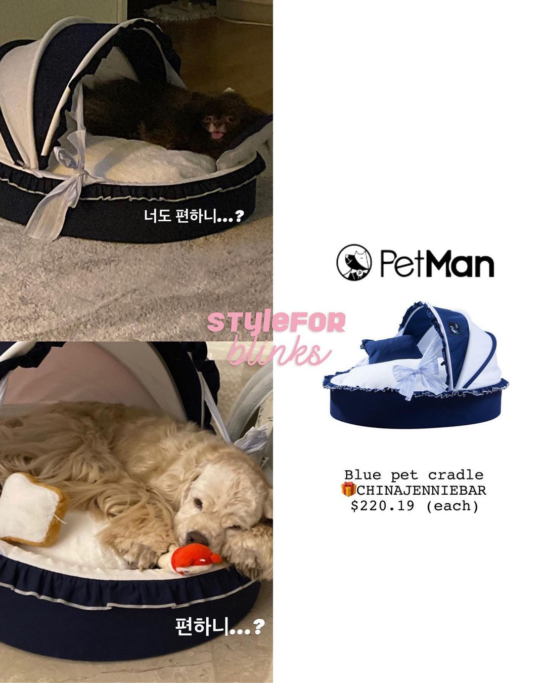 Lối sống quý tộc của thú cưng nhà BLACKPINK: Đi xe đẩy 20 triệu, nằm túi hiệu 76 triệu - Ảnh 3. Lối sống quý tộc của thú cưng nhà BLACKPINK: Đi xe đẩy 20 triệu, nằm túi hiệu 76 triệu - Ảnh 3.