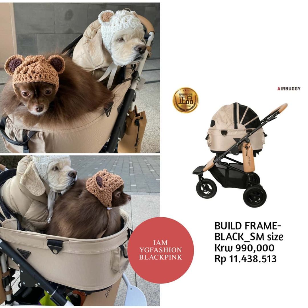 Lối sống quý tộc của thú cưng nhà BLACKPINK: Đi xe đẩy 20 triệu, nằm túi hiệu 76 triệu - Ảnh 2. Lối sống quý tộc của thú cưng nhà BLACKPINK: Đi xe đẩy 20 triệu, nằm túi hiệu 76 triệu - Ảnh 2.