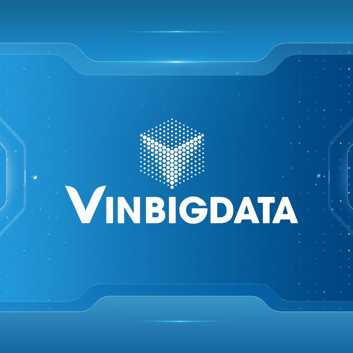 VinBigData (Vingroup)