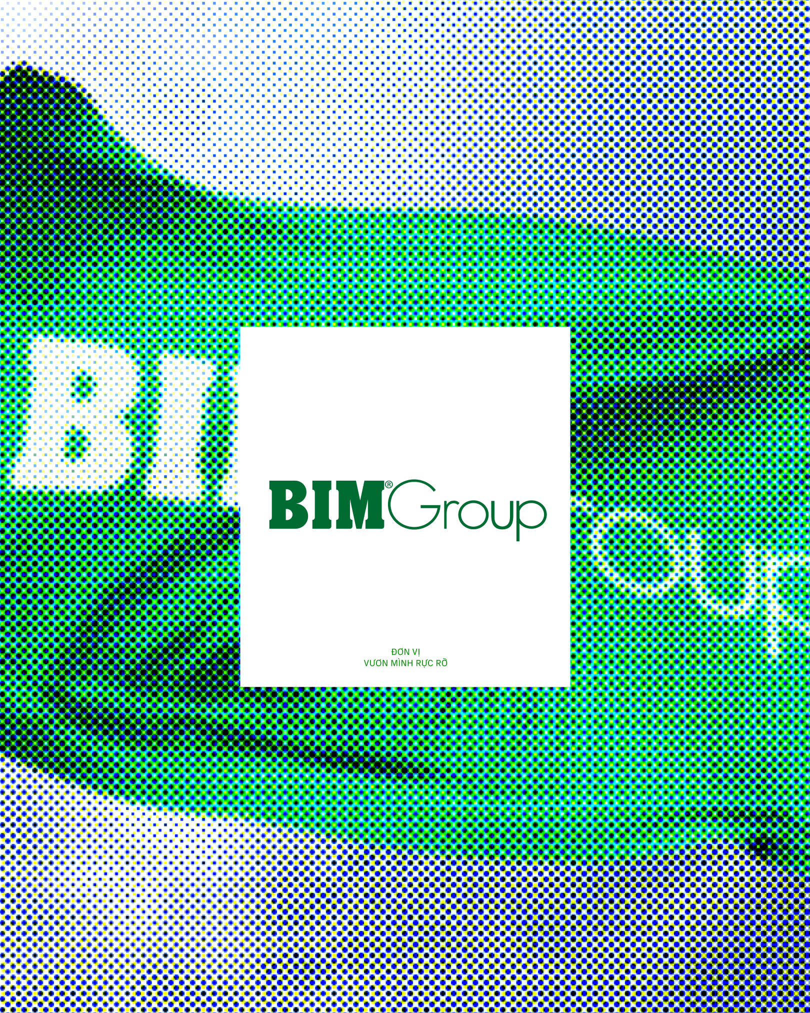 BIM Group đồng hành cùng sự phát triển bền vững của đất nước